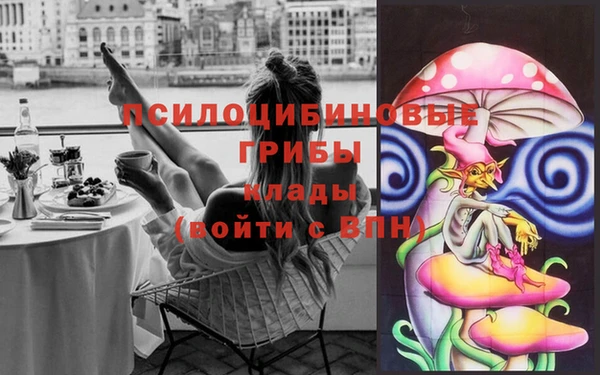 стаф Медвежьегорск