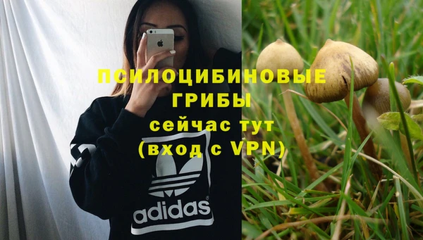 МДПВ Михайловка
