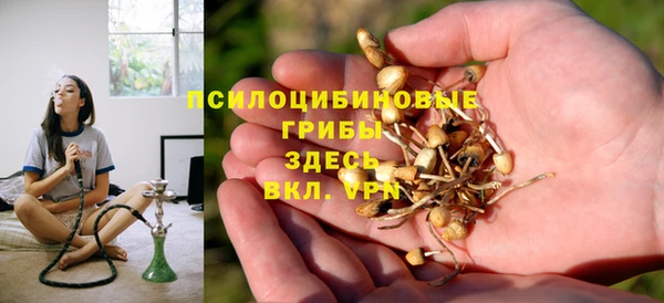 МДПВ Михайловка