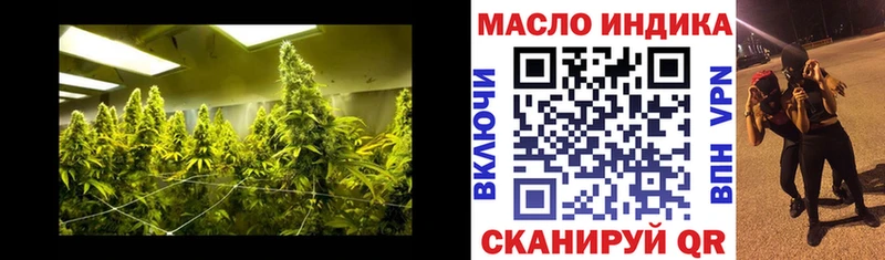 omg зеркало  Южно-Сухокумск  ТГК вейп с тгк  дарнет шоп 